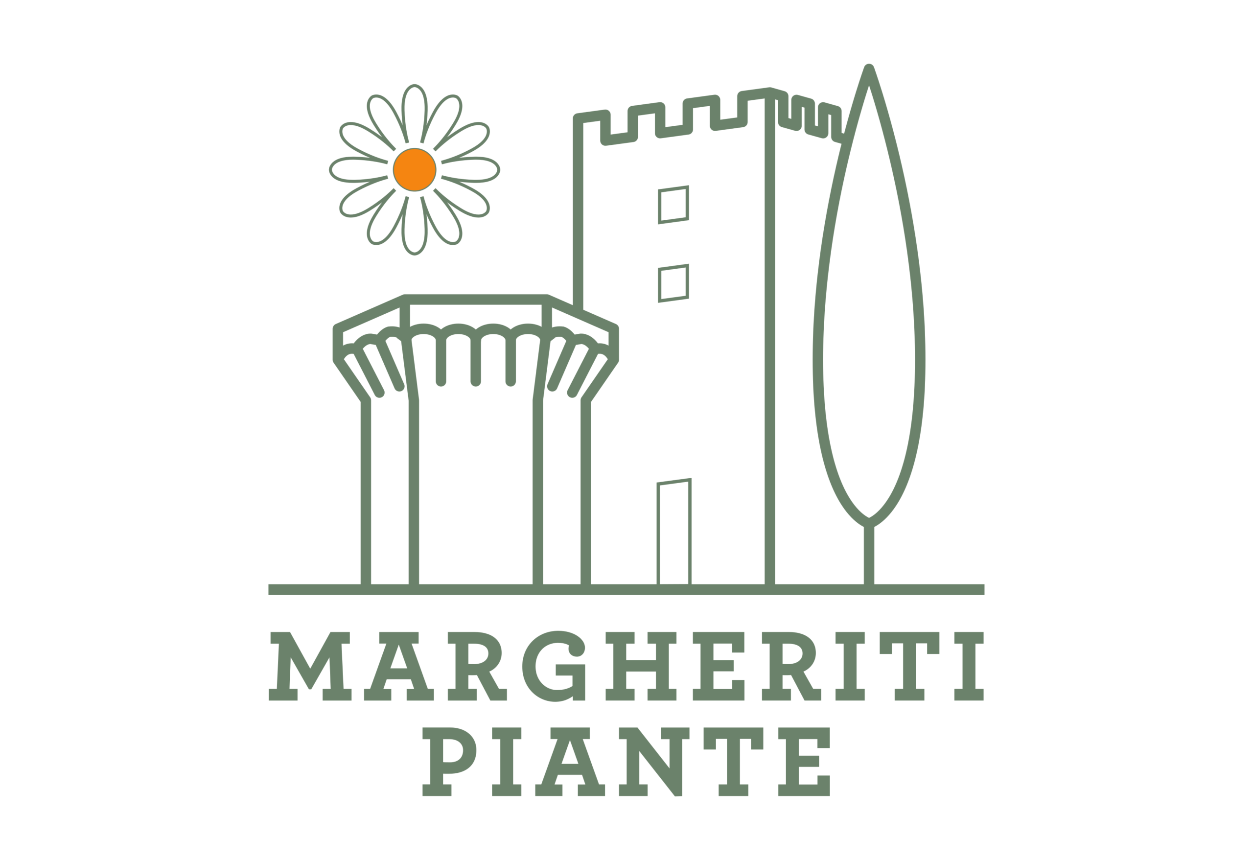 margheriti chiaro